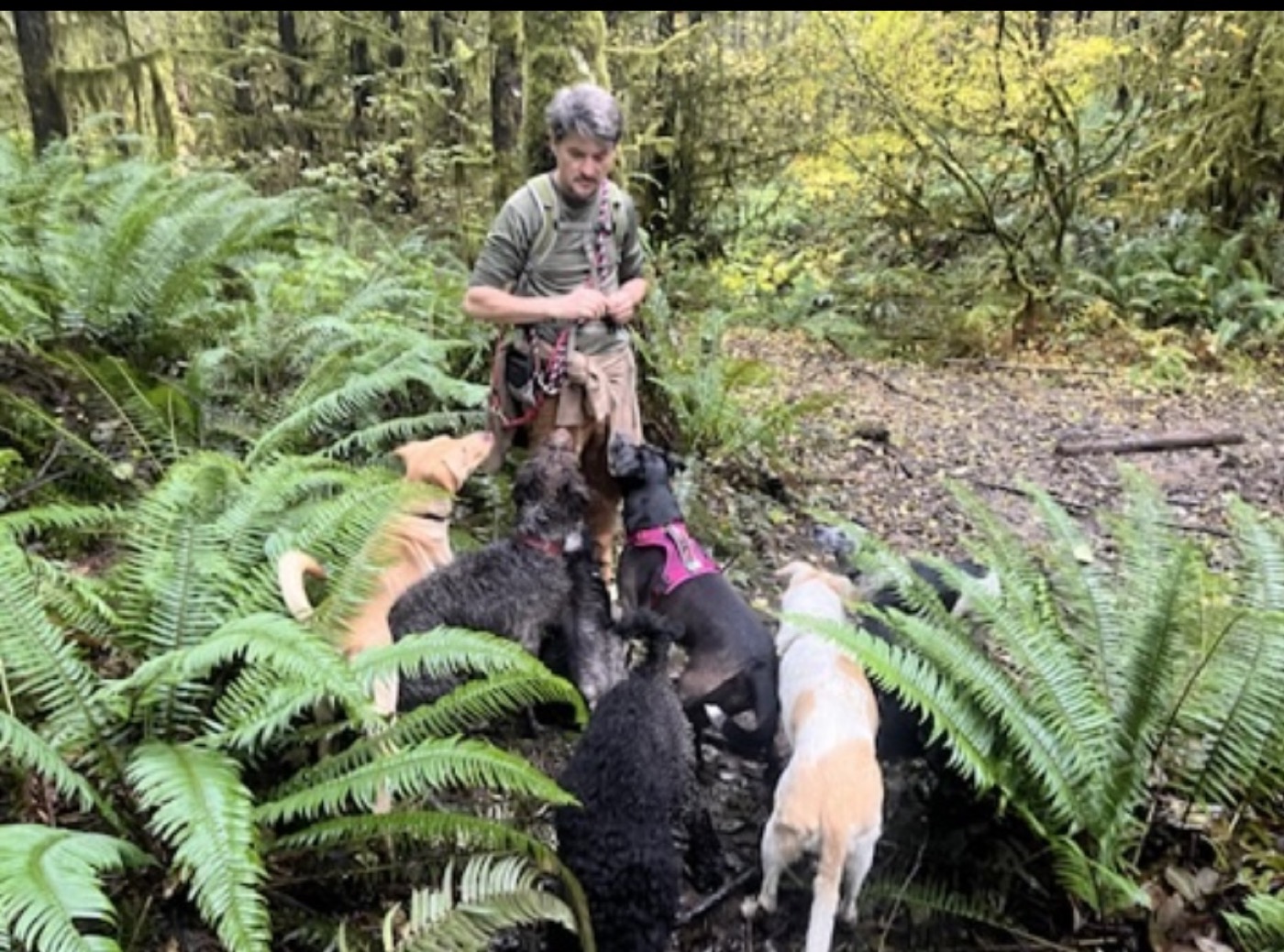 Pack member ready for the trail